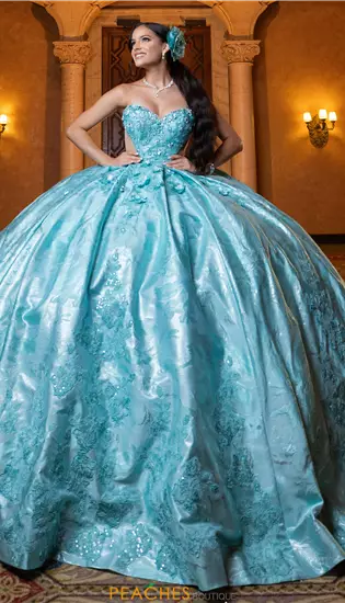 Vizcaya Quinceanera 4080031