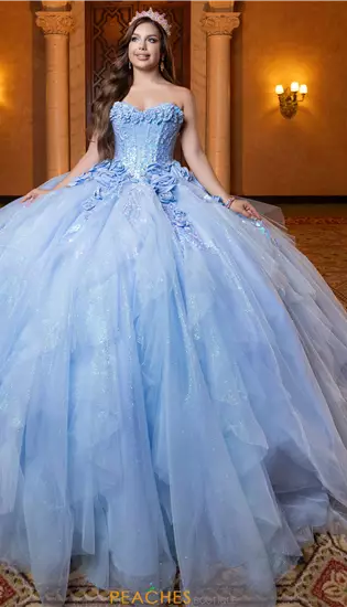 Vizcaya Quinceanera 4080020