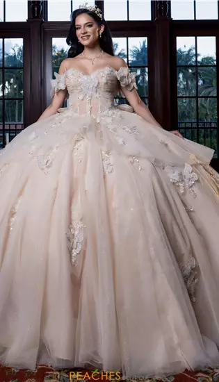 Vizcaya Quinceanera 4080017