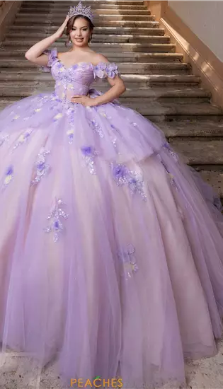 Vizcaya Quinceanera 4080017