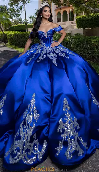 Vizcaya Quinceanera 4080009