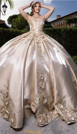 Vizcaya Quinceanera 4080033