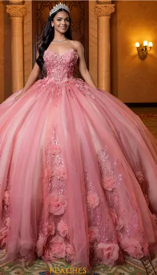 Vizcaya Quinceanera 4080032