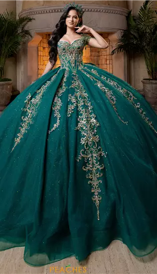 Vizcaya Quinceanera 4080026