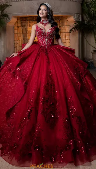 Vizcaya Quinceanera 4080025