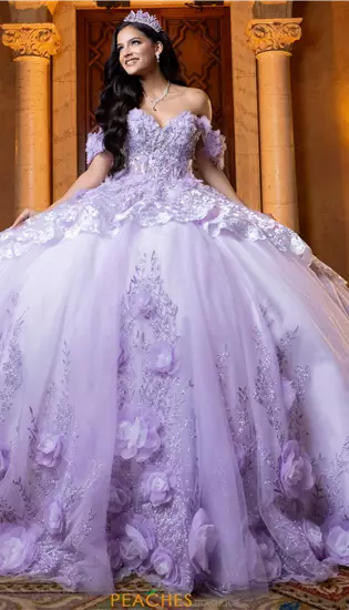 Vizcaya Quinceanera 4080032