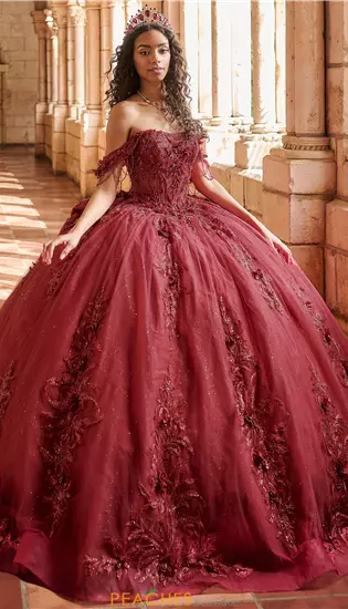 LizLuo Quinceanera 80051