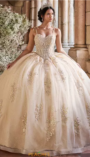 LizLuo Quinceanera 56546
