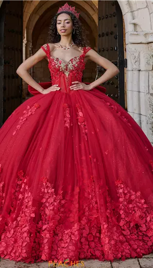 LizLuo Quinceanera 80057