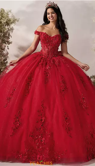 LizLuo Quinceanera 56548