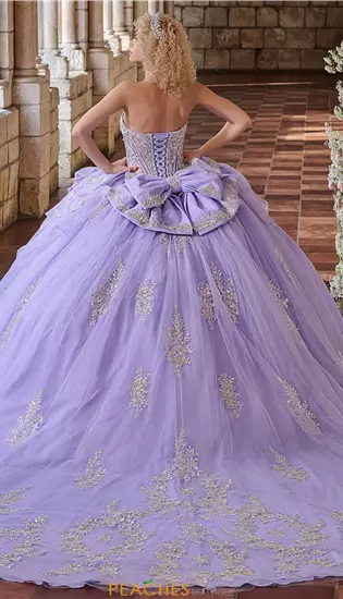 LizLuo Quinceanera 26116
