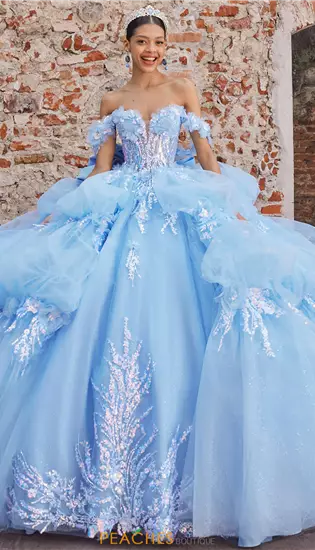 Vizcaya Quinceanera 89536