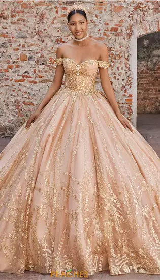 Vizcaya Quinceanera 89557