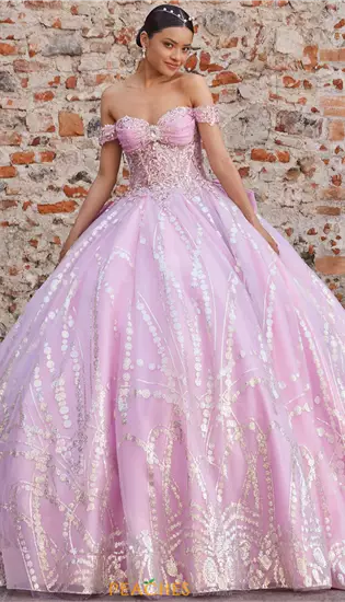 Vizcaya Quinceanera 89557