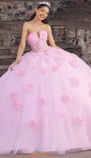 Vizcaya Quinceanera 89562