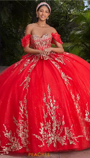 Vizcaya Quinceanera 89534