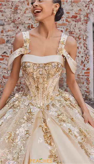 Vizcaya Quinceanera 89552