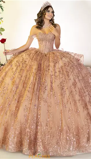 LizLuo Quinceanera 26133