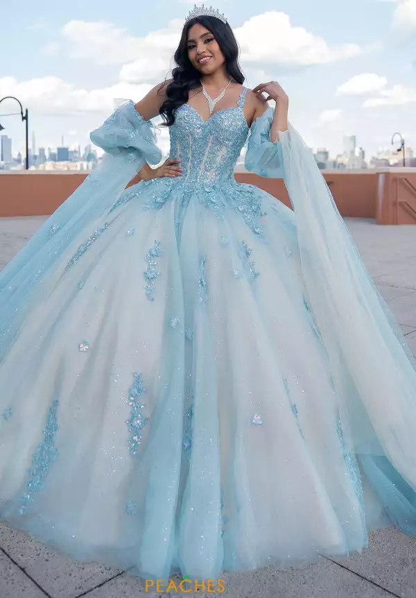 Traditional ball gown new arrivals