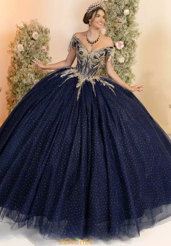 LizLuo Quinceanera 56555