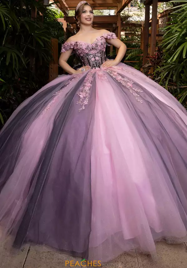 Vizcaya Quinceanera 4080018