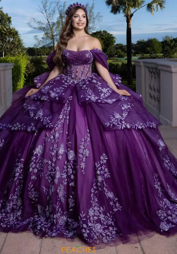 Vizcaya Quinceanera 4080027