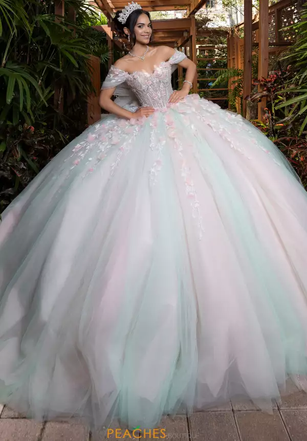 Vizcaya Quinceanera 4080001