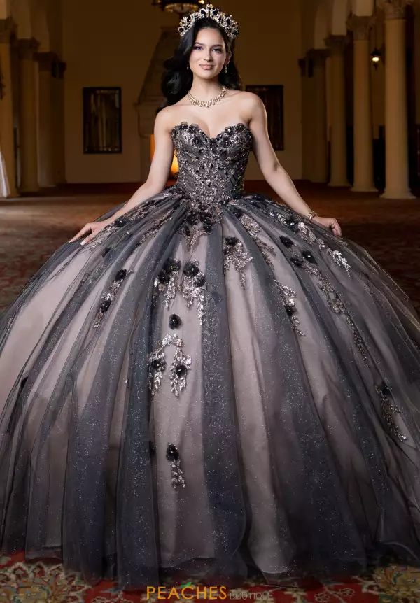 Vizcaya Quinceanera 4080022