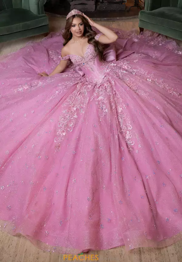 Vizcaya Quinceanera 4080029