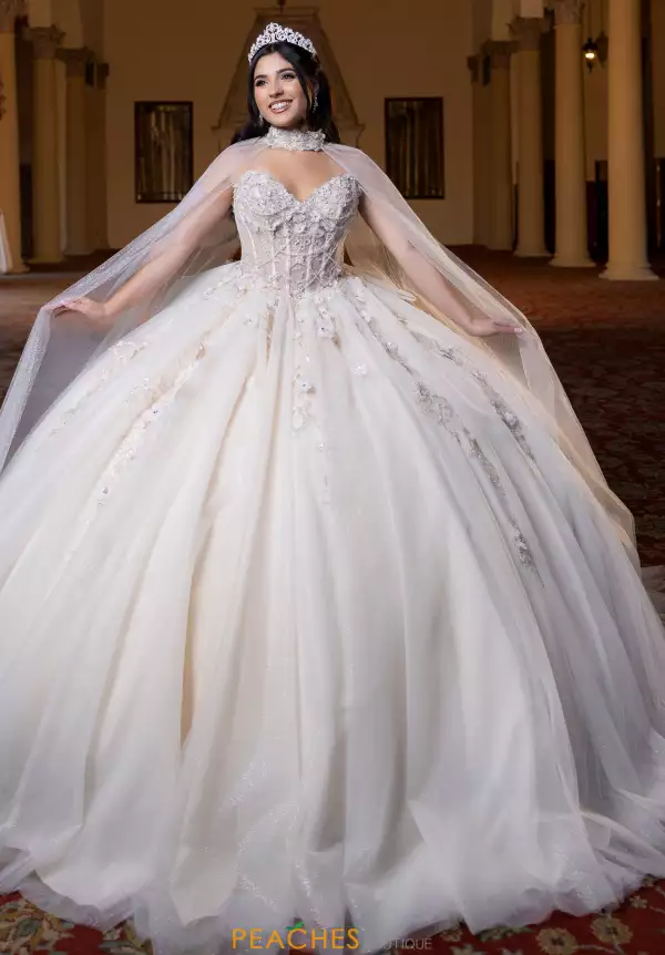 Vizcaya Quinceanera 4080023