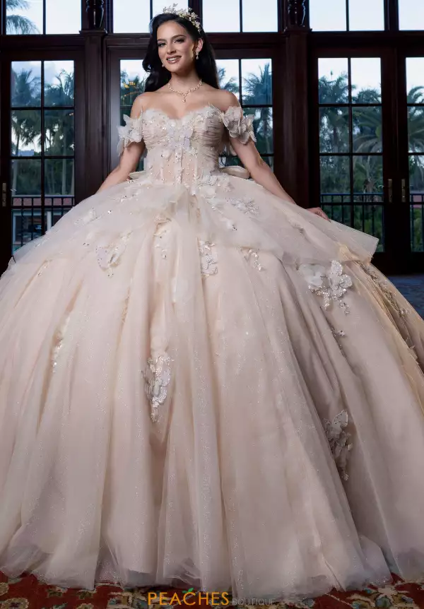 Vizcaya Quinceanera 4080017