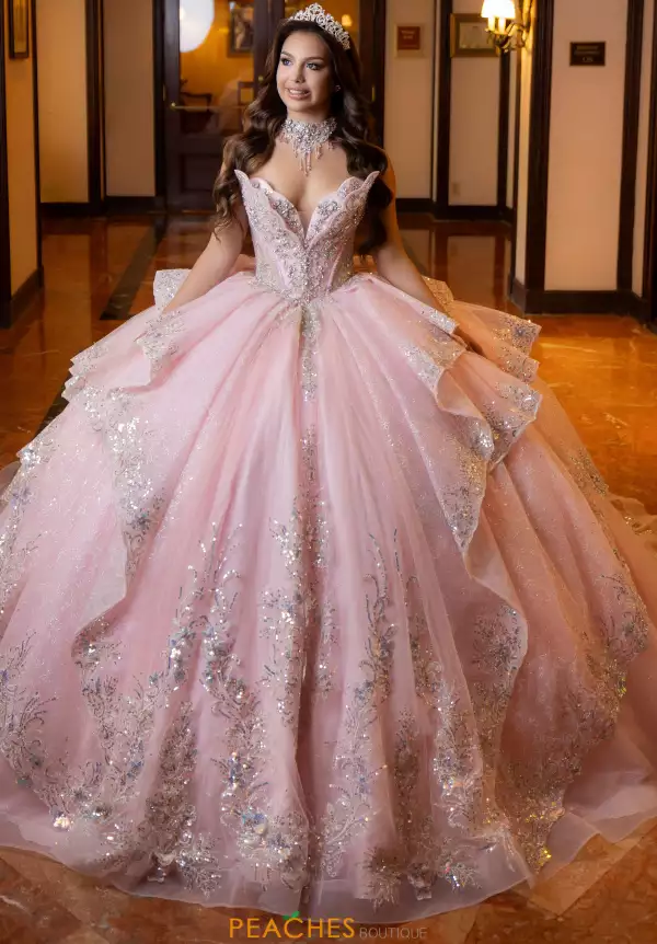 Vizcaya Quinceanera 4080025