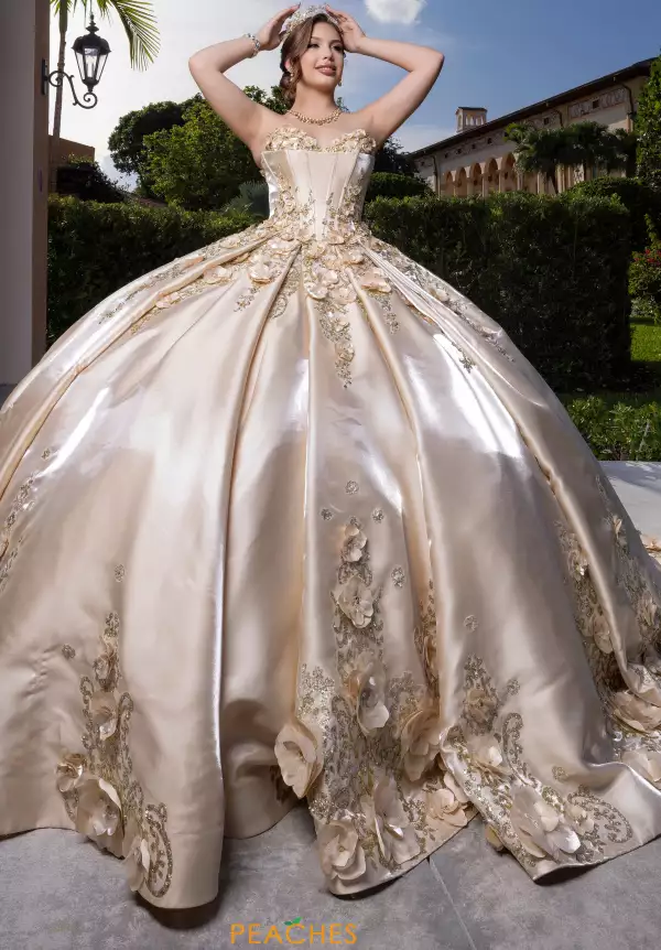 Vizcaya Quinceanera 4080033