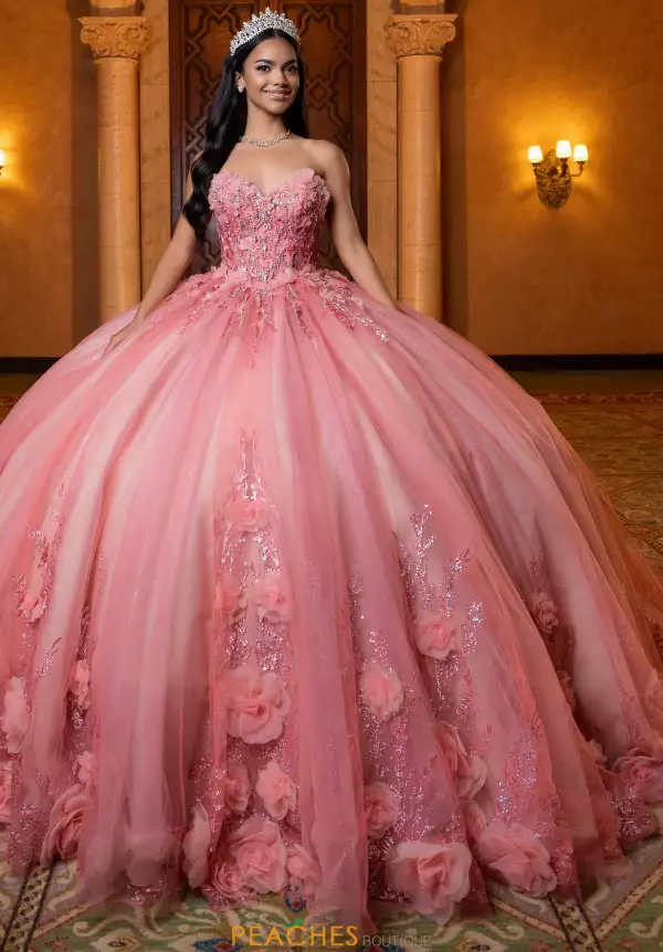 Vizcaya Quinceanera 4080032