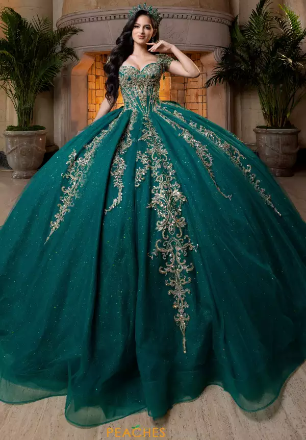 Vizcaya Quinceanera 4080026