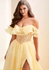 Canary Yellow
