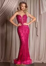 Fuchsia