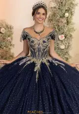 Navy/Gold