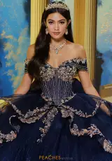 Navy Blue/Antique Gold