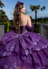 Eggplant/Light Purple