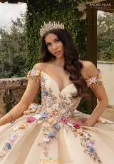 Champagne Multi
