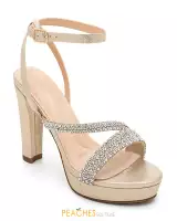 Champagne Shimmer