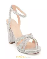 Silver Shimmer