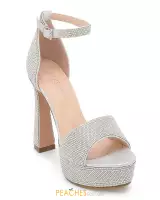 Silver Shimmer