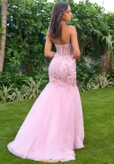 Pink Multi