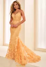 Apricot