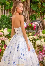White/Blue