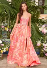 Coral/Pink