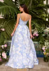 Ivory/Light Blue