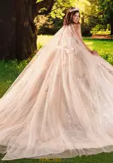 Champagne Silver